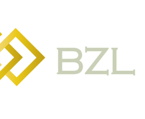 BZL Shoes
