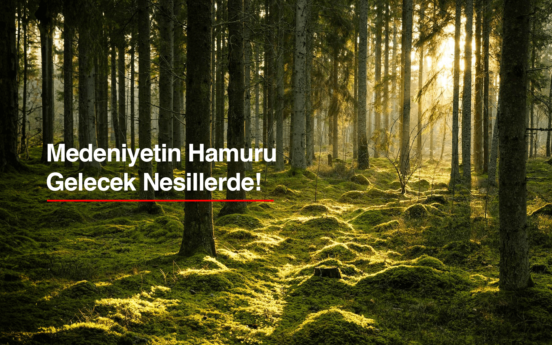 Konya Kağıt Sanayi ve Ticaret A.Ş.