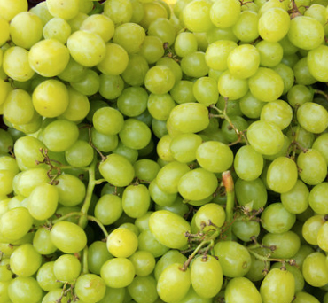 Cena
