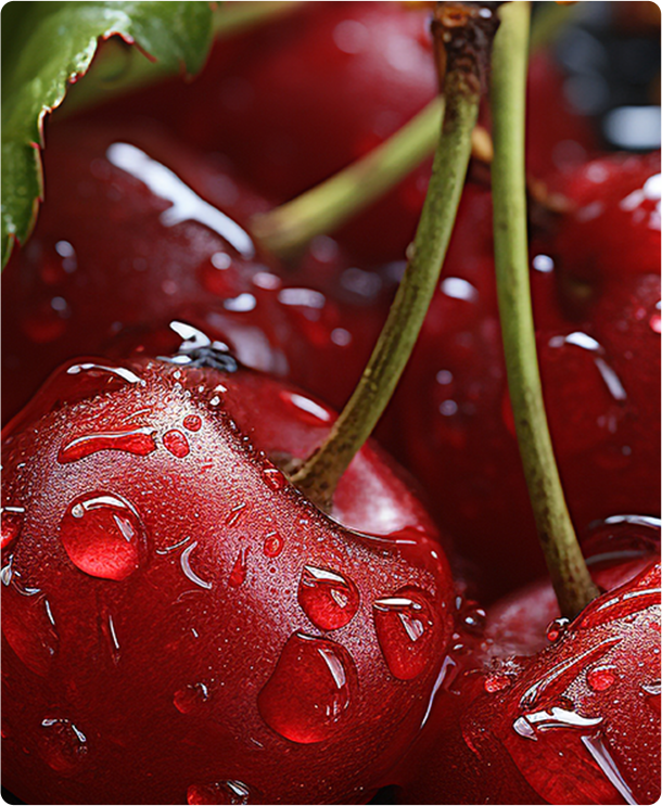 Demir Fresh Fruits / DFF