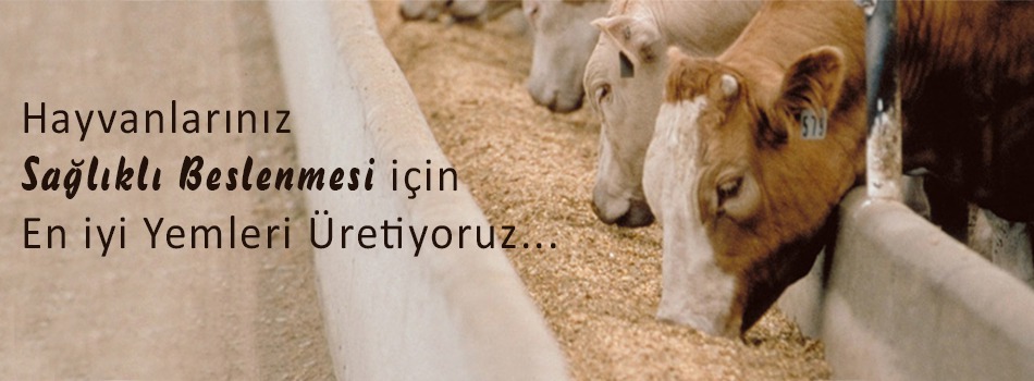 Fayyem Yem Sanayi ve Ticaret A.Ş.