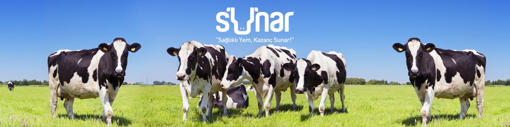Sunar Yem Sanayi ve Ticaret A.Ş.