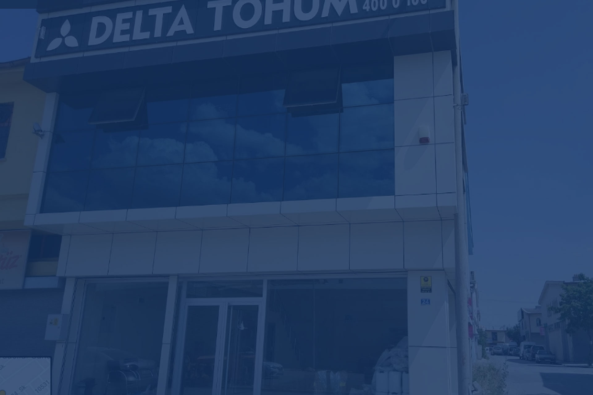 Delta Tohum