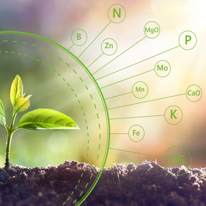Saldar Organic Fertilizer