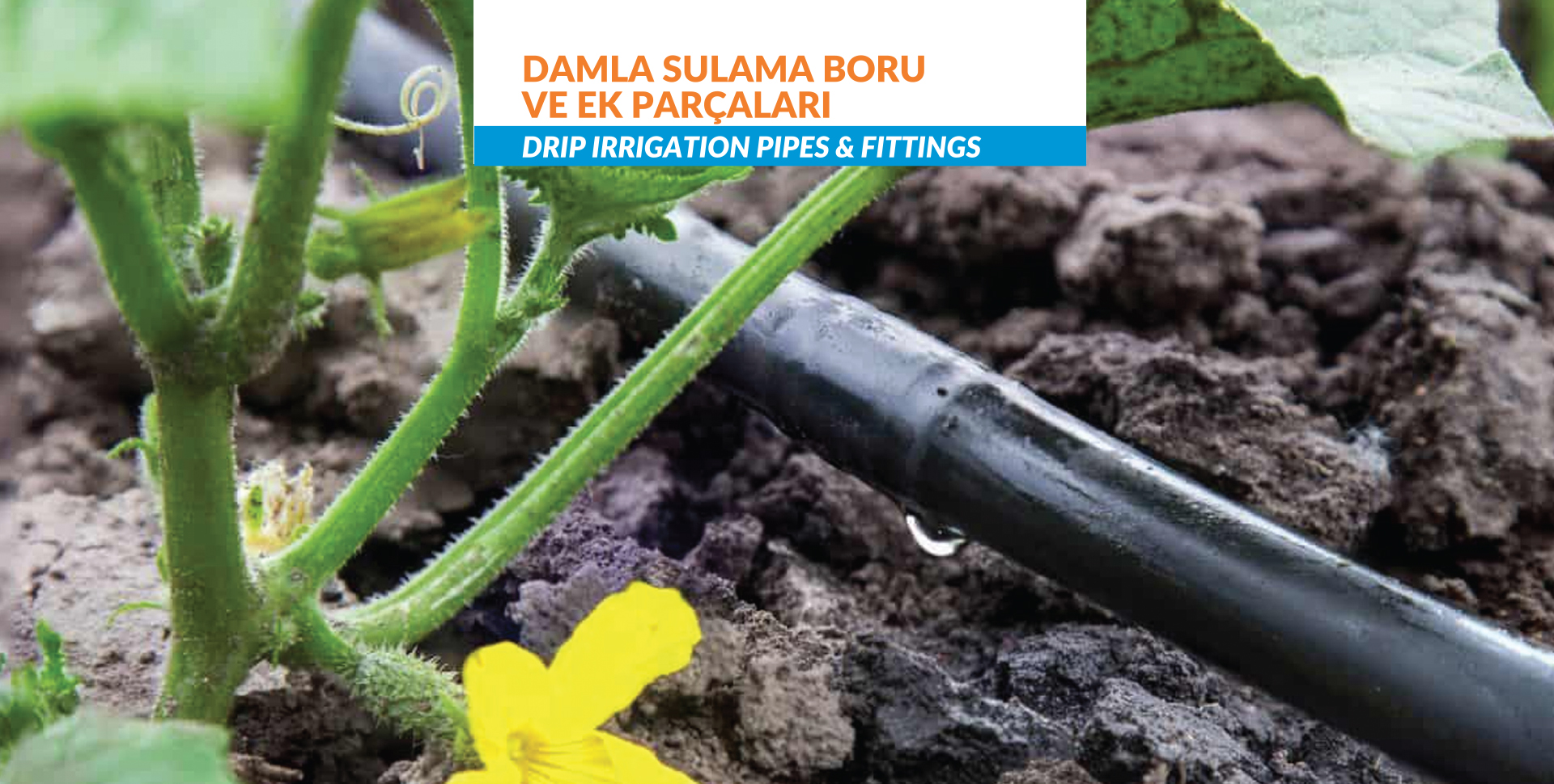 AveaPlast / DRPLAST / SOILDRIP
