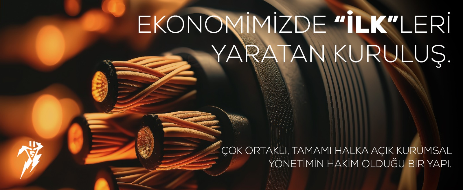 Sarkuysan Elektrolitik Bakır Sanayi A.Ş.