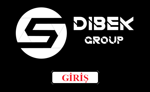 Selay Group / Selay Elektrik