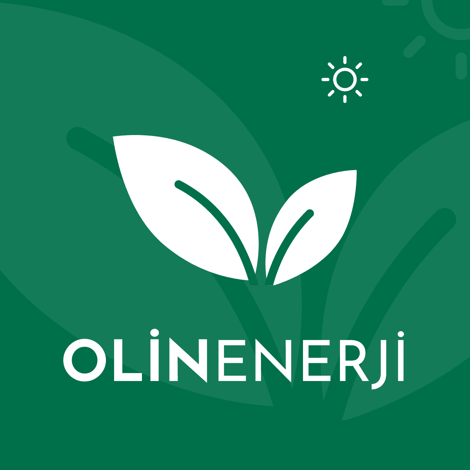 Olin Enerji