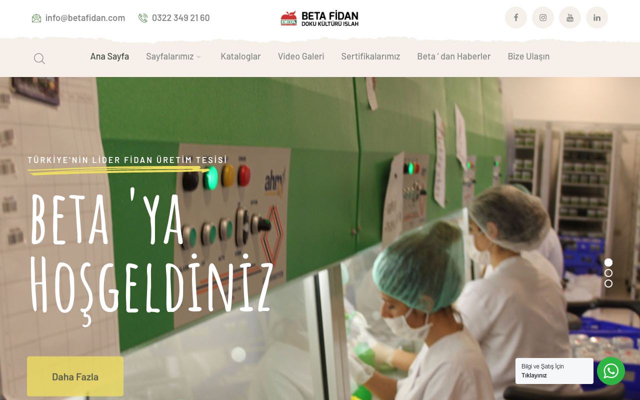 BETA Fidan