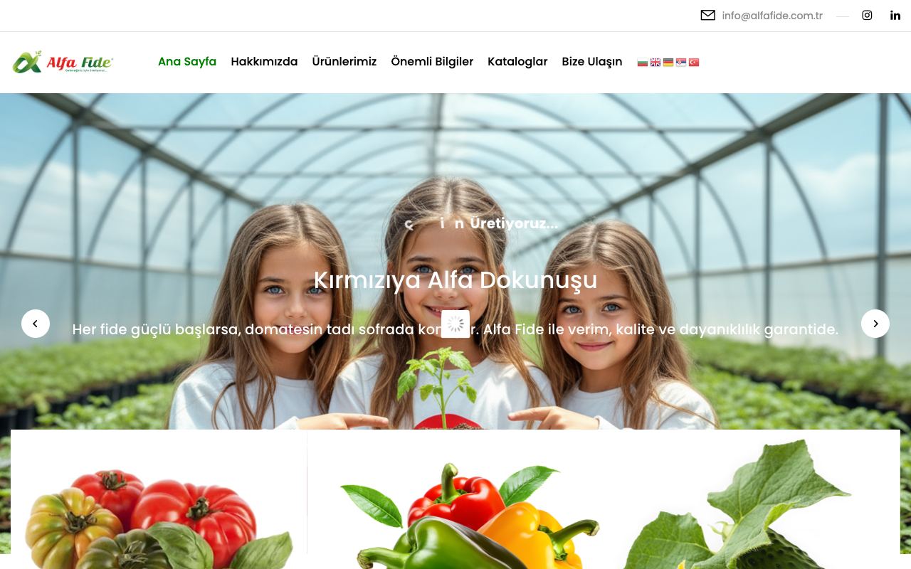 Alfa Fide Ticaret Ltd. Şti.