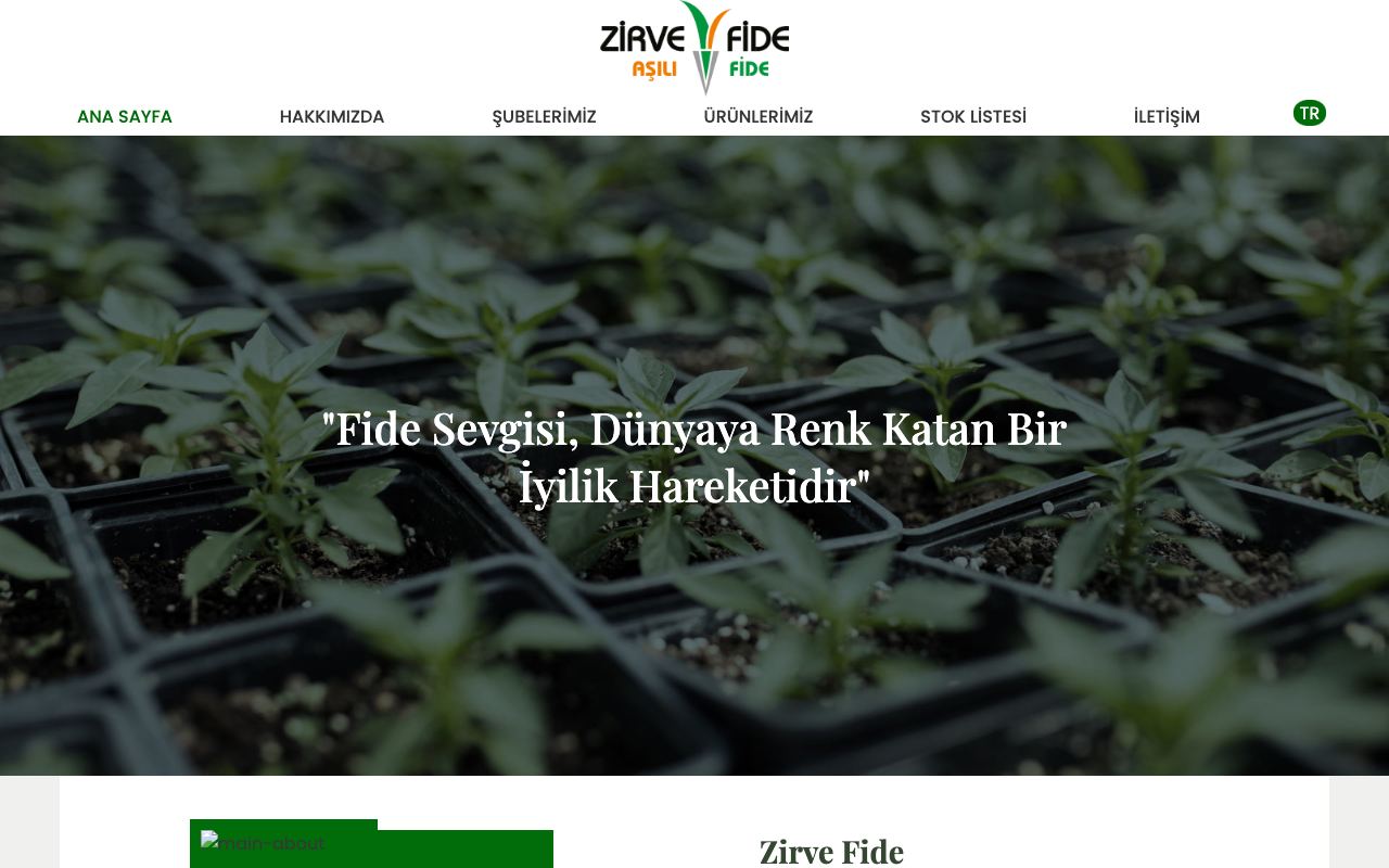 Zirve Fide
