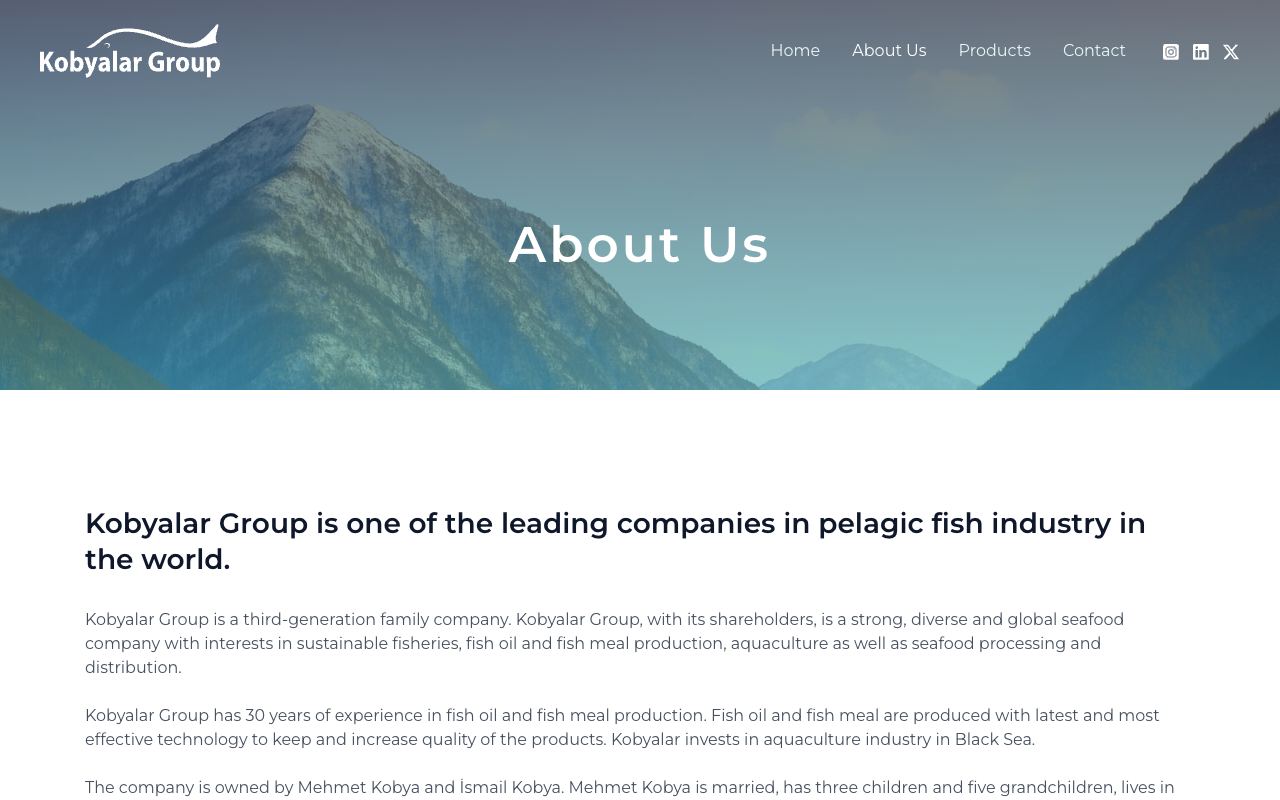 Kobyalar Group