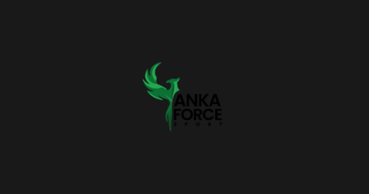 Ankaforce