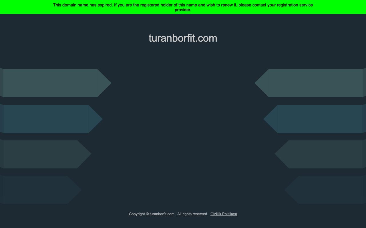 Turan Borfit